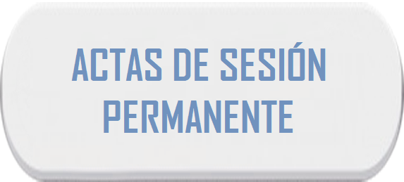 comisión permanente